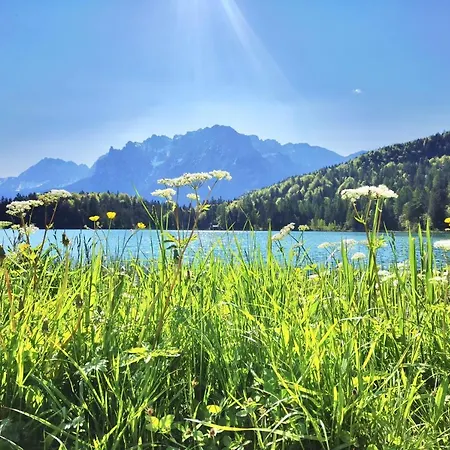 Alpenloft 1.0